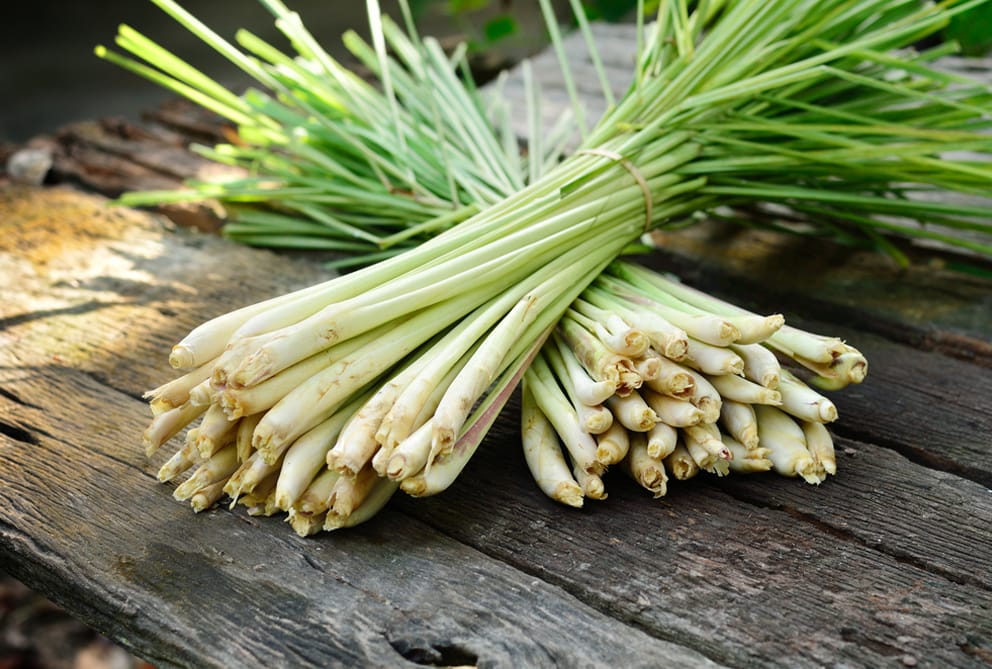 lemongrass tegen voetschimmel
