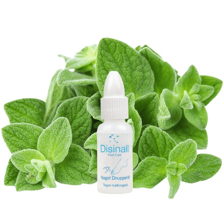 Nagel Druppel met Oregano